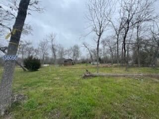 38056 S Bonnie Lake Dr, Hempstead TX, 77445 land for sale