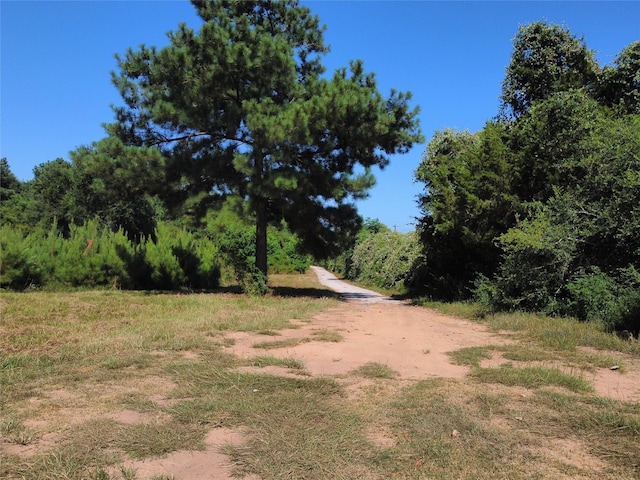 view of landscape