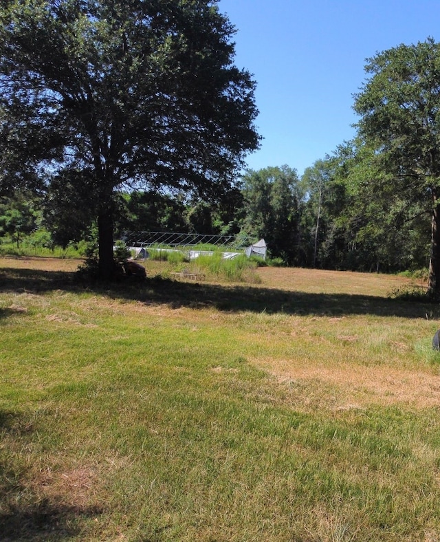 view of yard with a rural view