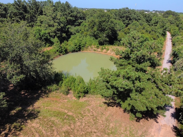 birds eye view of property featuring a water view and a view of trees