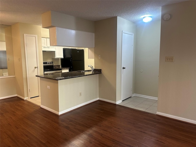 kitchen featuring electric range, wood finished floors, freestanding refrigerator, under cabinet range hood, and a sink