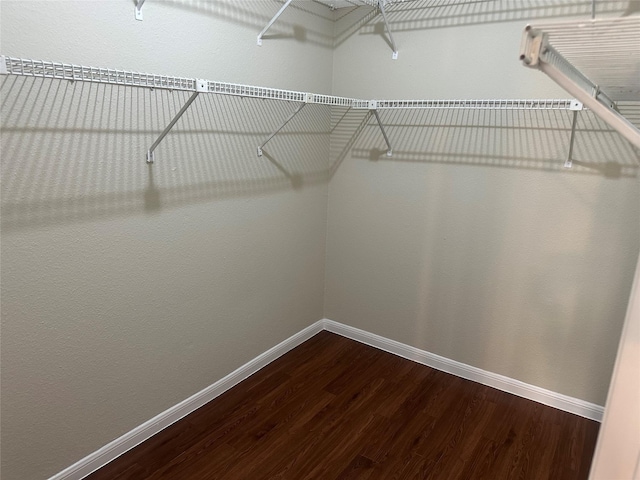 walk in closet featuring dark wood finished floors