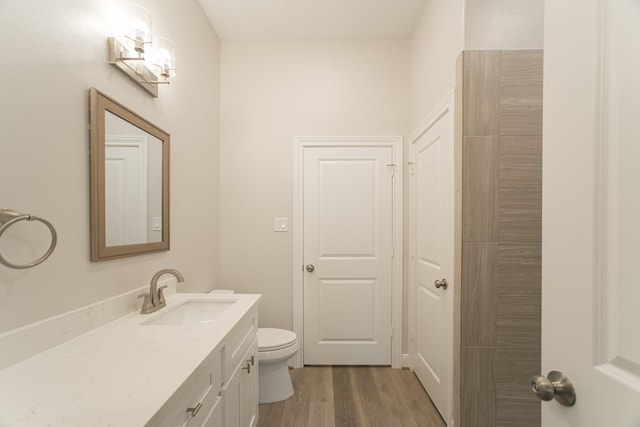 bathroom with vanity, toilet, and wood finished floors