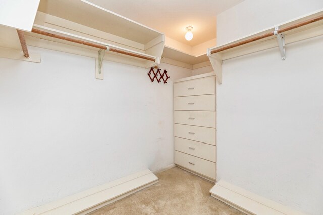 spacious closet with light carpet