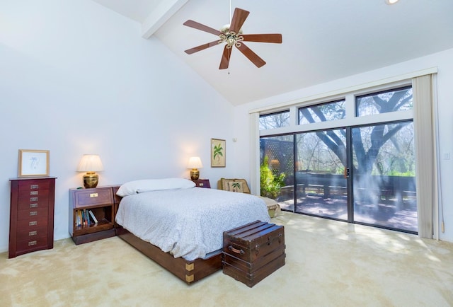 carpeted bedroom featuring multiple windows, high vaulted ceiling, beam ceiling, and access to outside