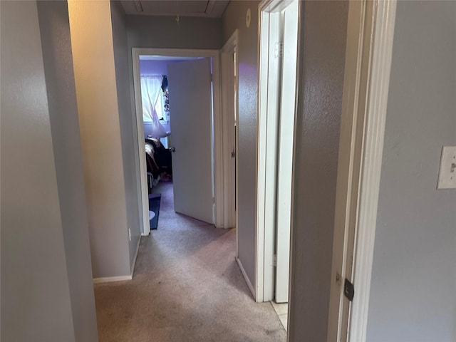 hall with light carpet, attic access, and baseboards