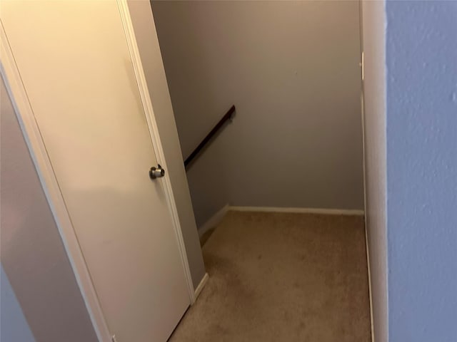 staircase featuring carpet floors and baseboards