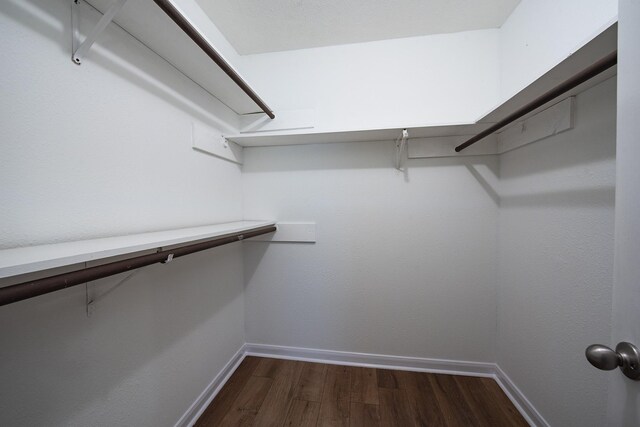 spacious closet featuring dark wood-type flooring