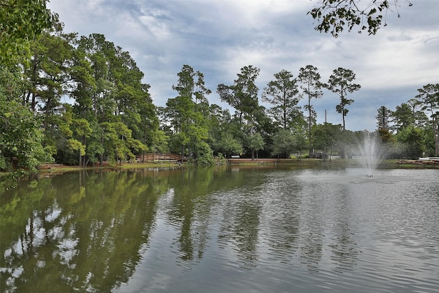 view of water feature