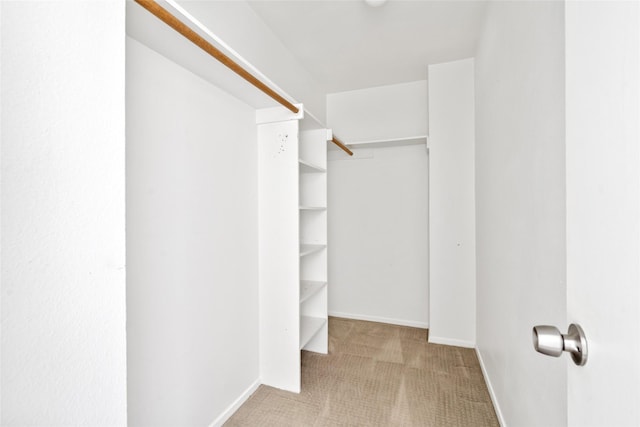 walk in closet featuring carpet floors