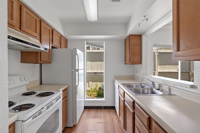 kitchen featuring white appliances, brown cabinets, light countertops, under cabinet range hood, and a sink