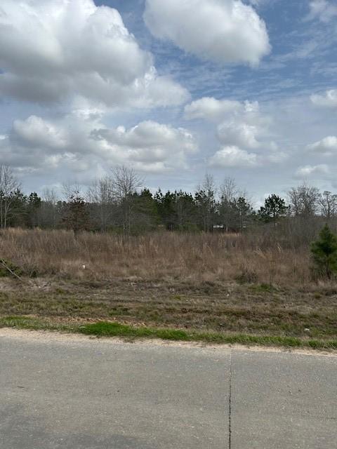 195 County Road 3581, Cleveland TX, 77327 land for sale