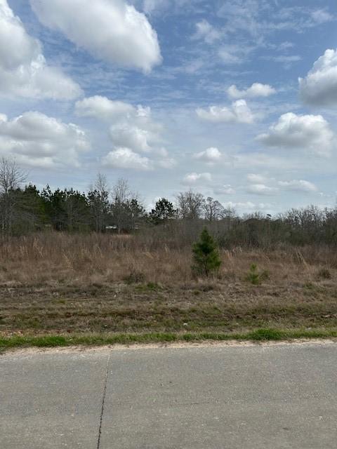 Listing photo 2 for 195 County Road 3581, Cleveland TX 77327