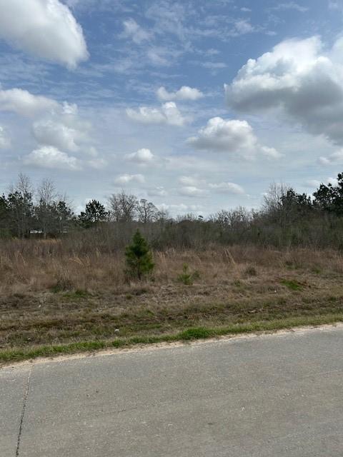 Listing photo 3 for 195 County Road 3581, Cleveland TX 77327