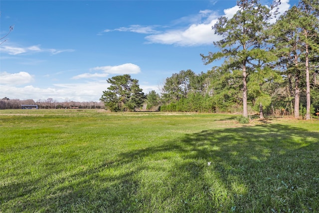 view of yard with a rural view