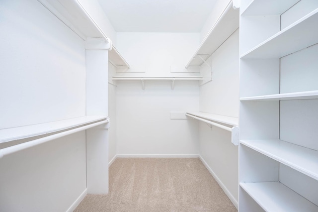 spacious closet featuring light colored carpet