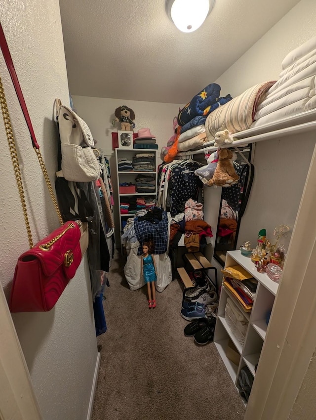 spacious closet with carpet