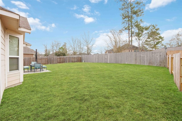 view of yard featuring a fenced backyard and a patio