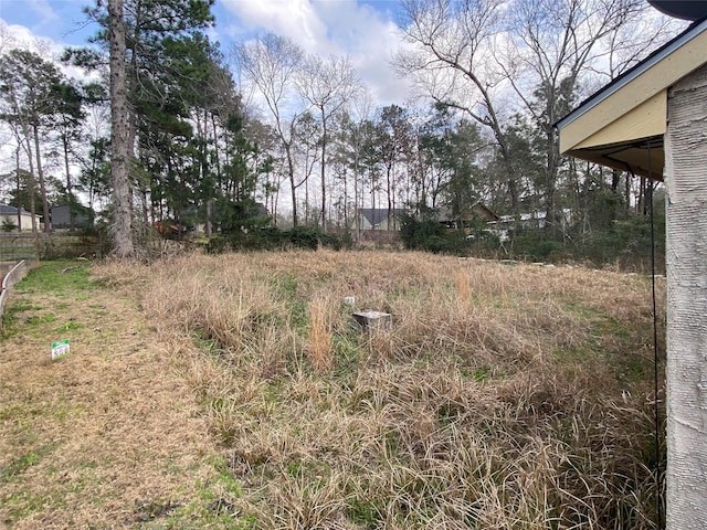 view of yard