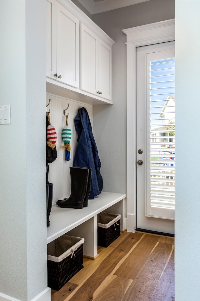 mudroom featuring light wood finished floors and a healthy amount of sunlight