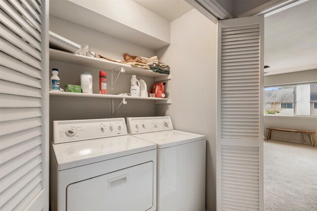 laundry room featuring carpet floors, laundry area, and separate washer and dryer