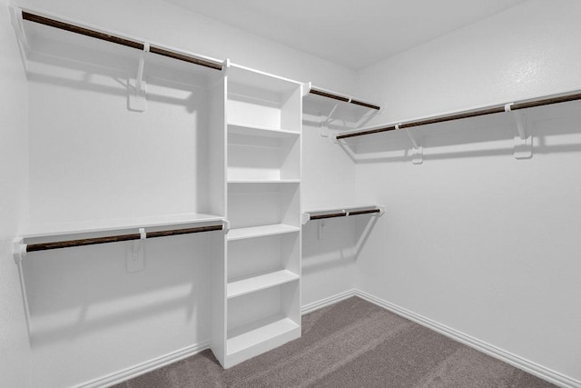 spacious closet with carpet floors