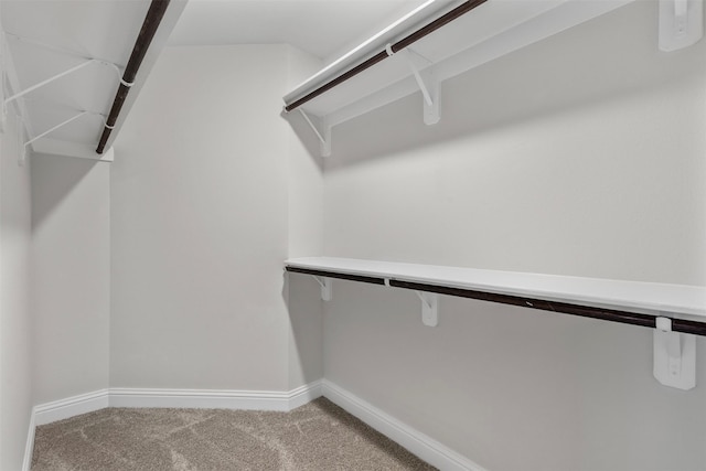 13324 Silver Egret Ln, Texas City, TX 77568 - walk in closet featuring carpet flooring