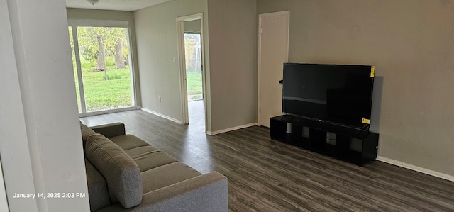 living room featuring wood finished floors and baseboards