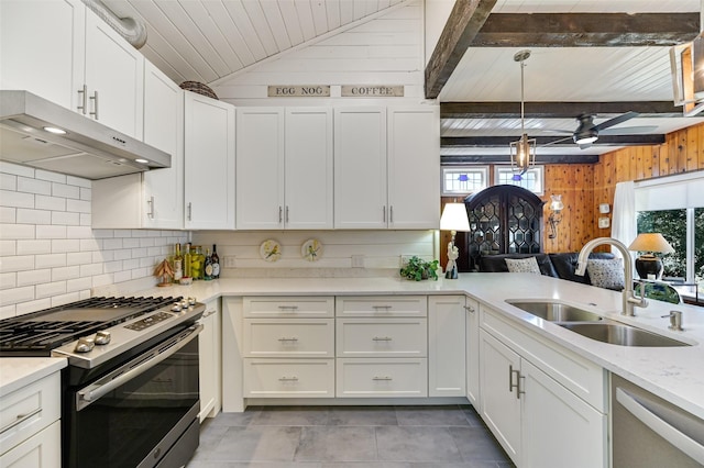 206 County Road 142, Burnet, TX 78611 - kitchen featuring stainless steel appliances, decorative backsplash, white cabinets, a sink, and under cabinet range hood