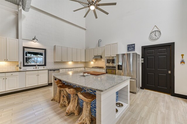 206 County Road 142, Burnet, TX 78611 - kitchen with a towering ceiling, decorative backsplash, appliances with stainless steel finishes, a sink, and under cabinet range hood