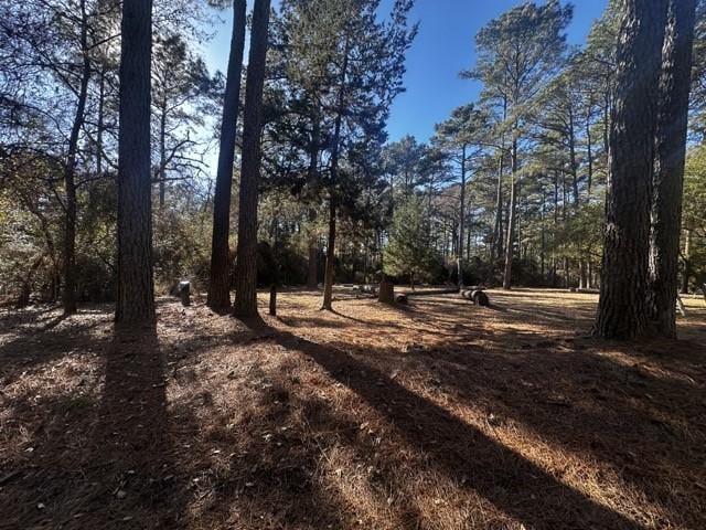 TBDLOT40 Cherokee Ln, Waller TX, 77445 land for sale