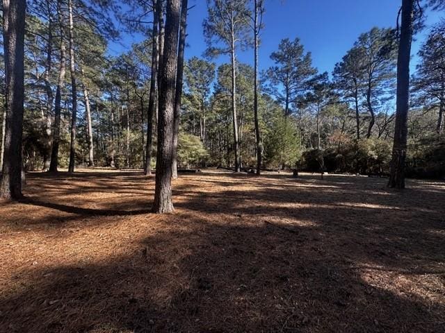 Listing photo 2 for TBDLOT40 Cherokee Ln, Waller TX 77445