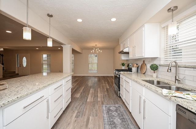 kitchen featuring tasteful backsplash, appliances with stainless steel finishes, a sink, wood finished floors, and under cabinet range hood