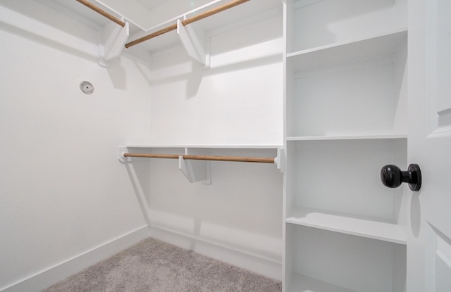 walk in closet featuring carpet floors