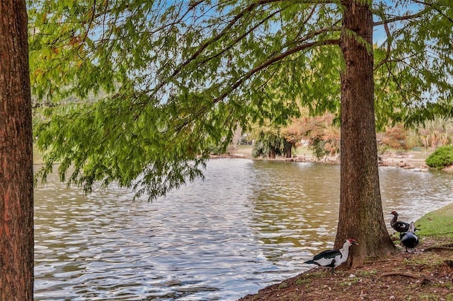 water view