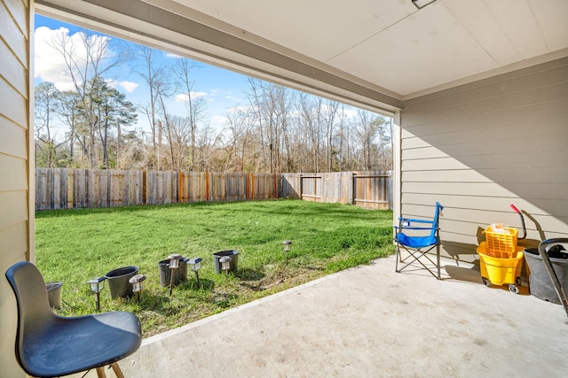 view of yard with a patio area and a fenced backyard