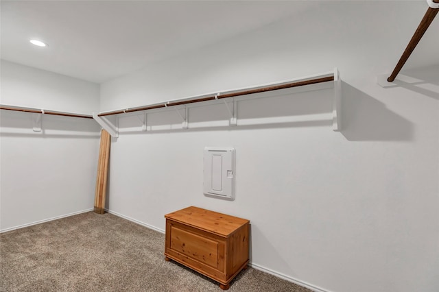 spacious closet with electric panel and carpet