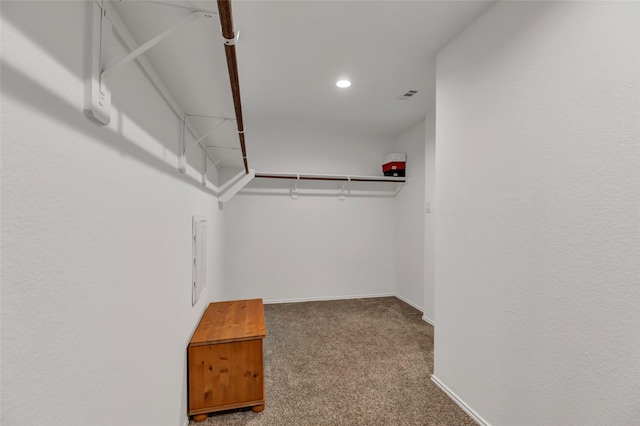 walk in closet featuring visible vents and carpet floors