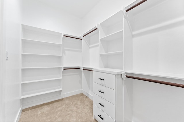 walk in closet featuring light colored carpet