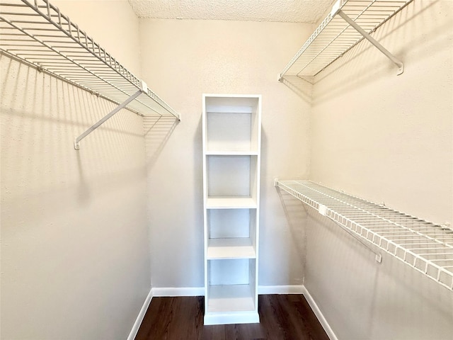 spacious closet with dark wood-style flooring