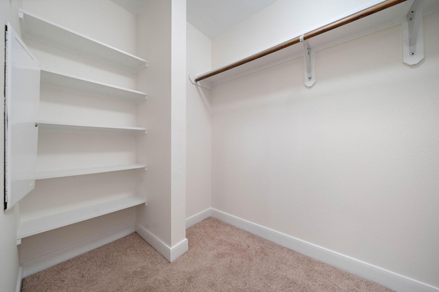 walk in closet with light carpet