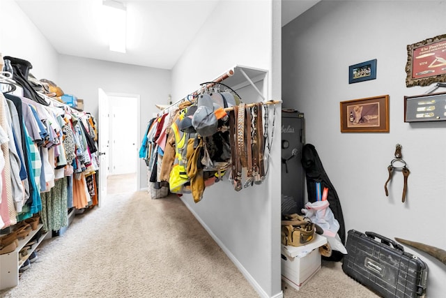 walk in closet with carpet floors