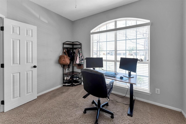 office space with carpet floors and baseboards