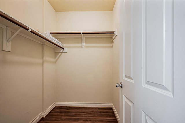 spacious closet with dark wood-type flooring