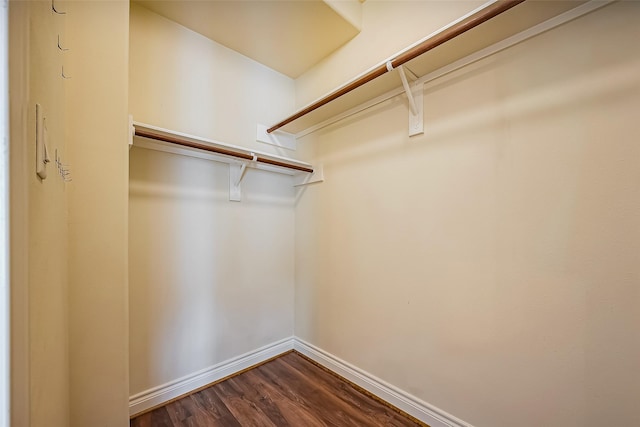 spacious closet featuring dark wood-type flooring