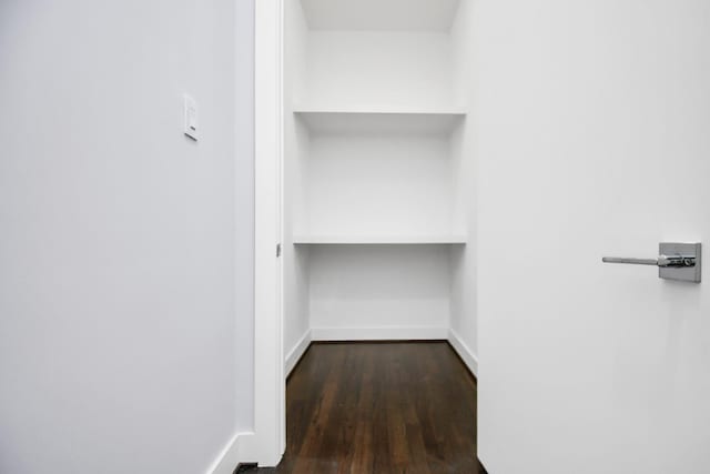 walk in closet featuring dark wood-style floors