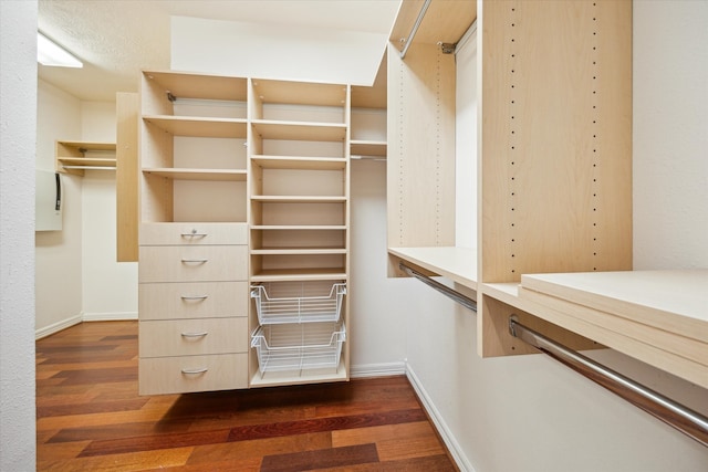 spacious closet with dark wood finished floors