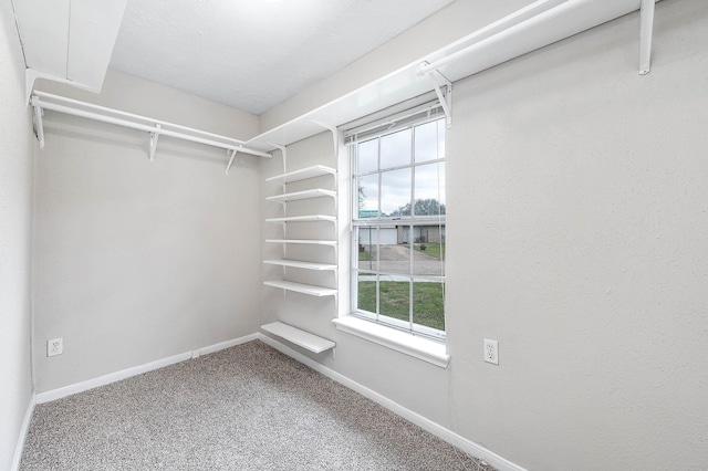 spacious closet featuring carpet floors