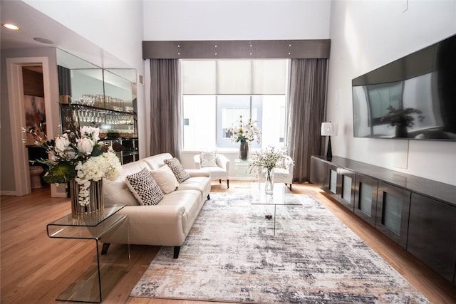 living area with wood finished floors