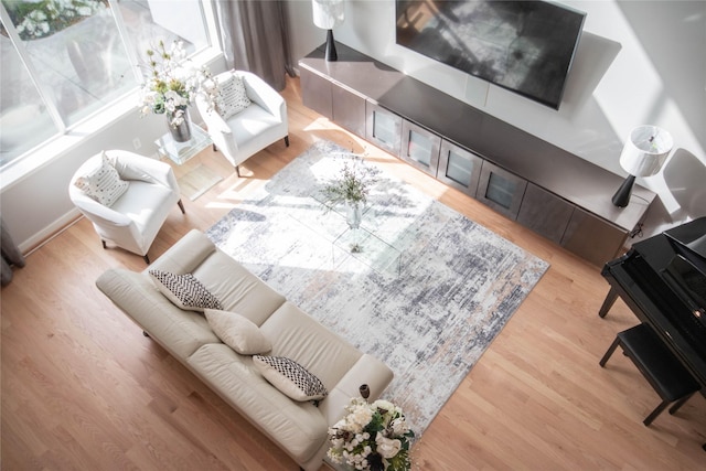 living area featuring wood finished floors